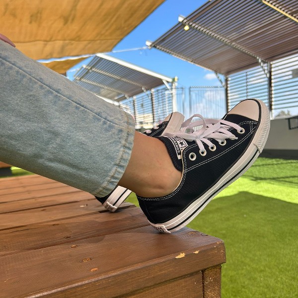 אולסטר שחור 2