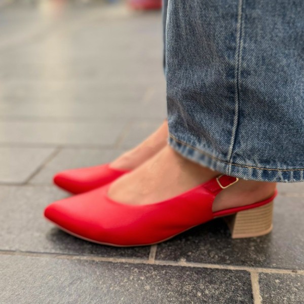 דגם הגר אדום 2