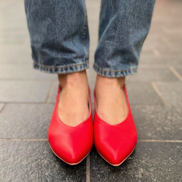 דגם הגר אדום 4