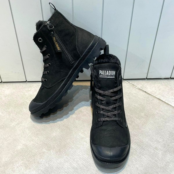 פלדיום שחור11