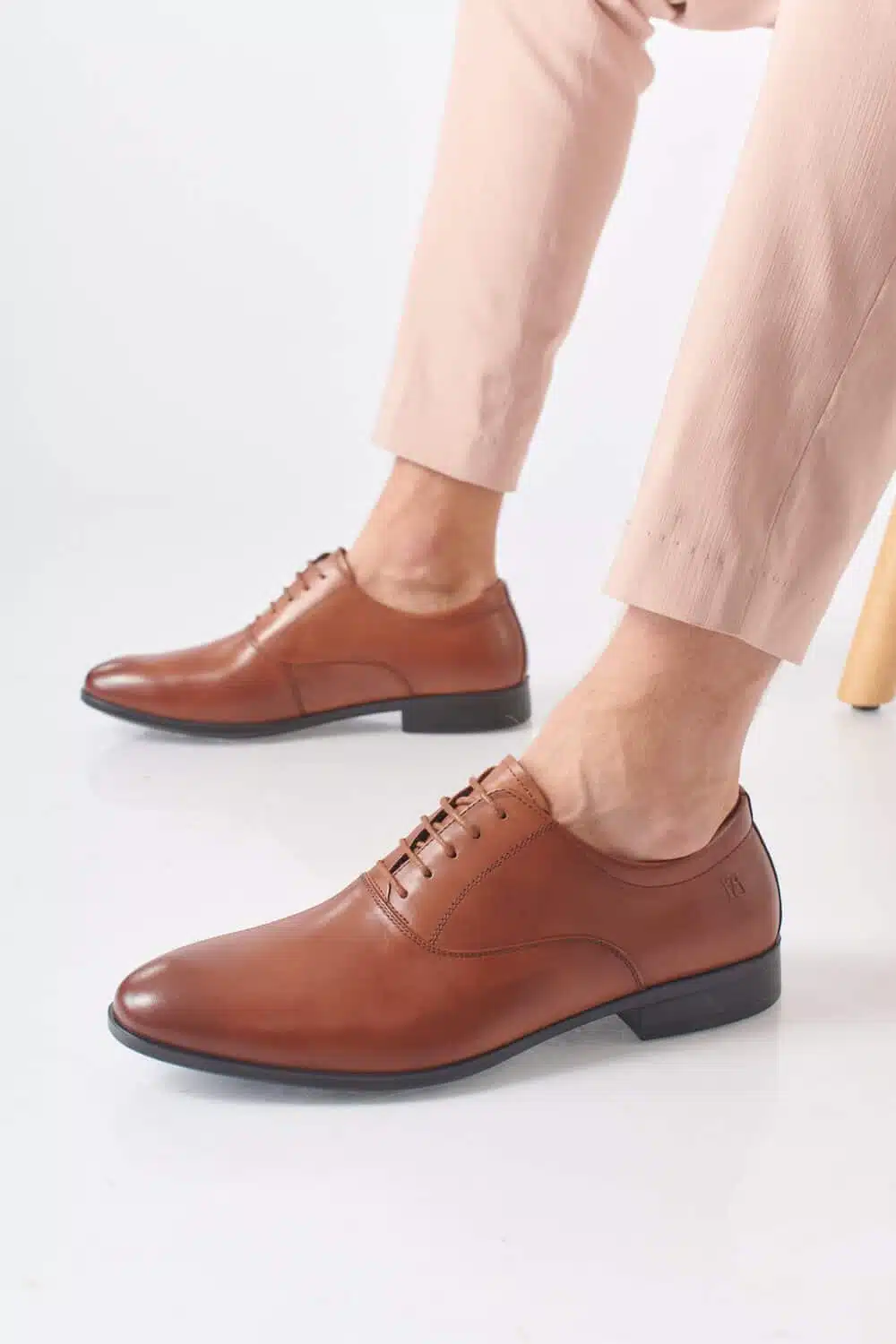 דגם דויד כאמל 2