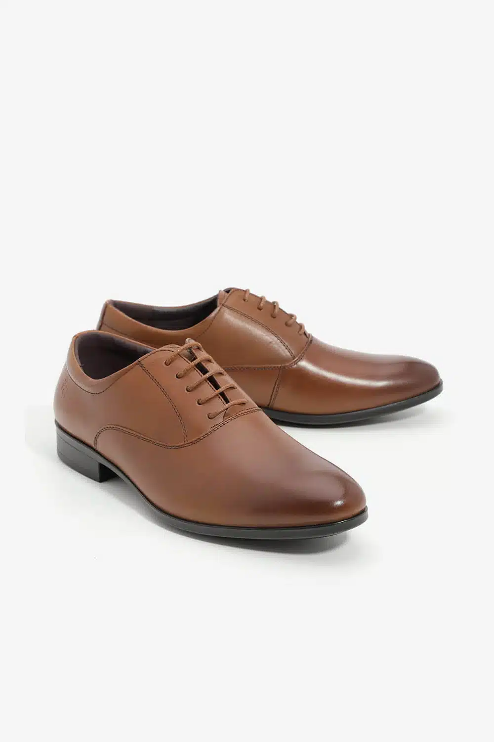 דגם דויד כאמל