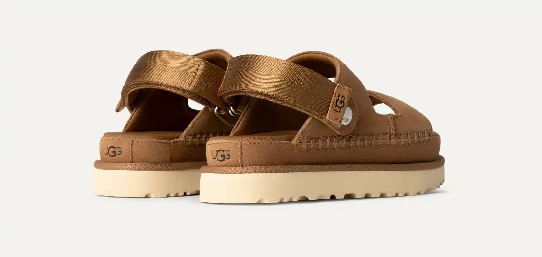 Whatsapp Image 2026 02 03 At 12.52.03 (2)