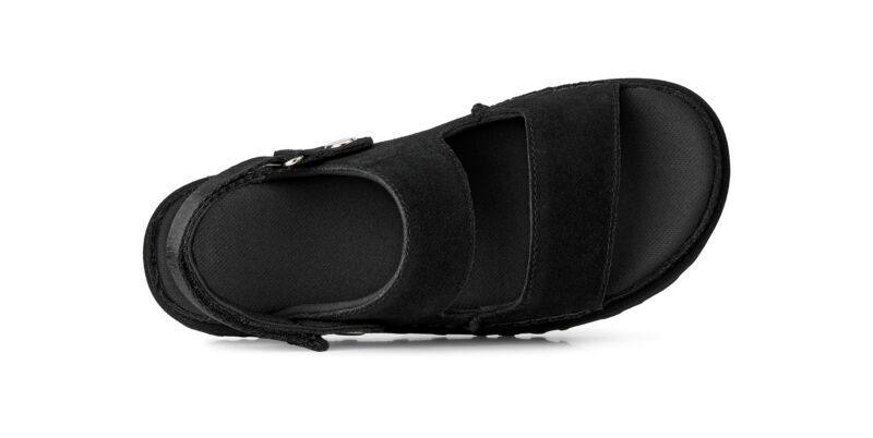 Whatsapp Image 2026 02 03 At 12.52.04 (1)