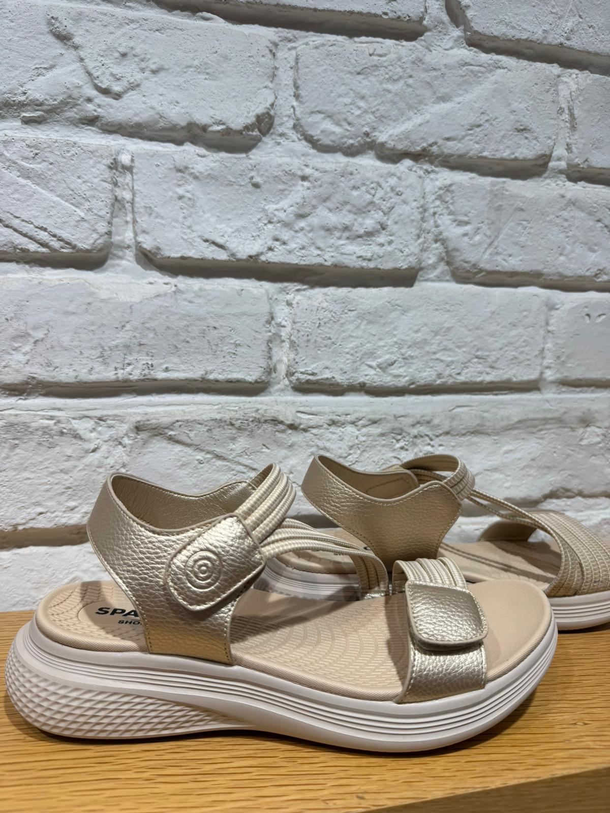 Whatsapp Image 2026 04 11 At 21.17.35 (1)