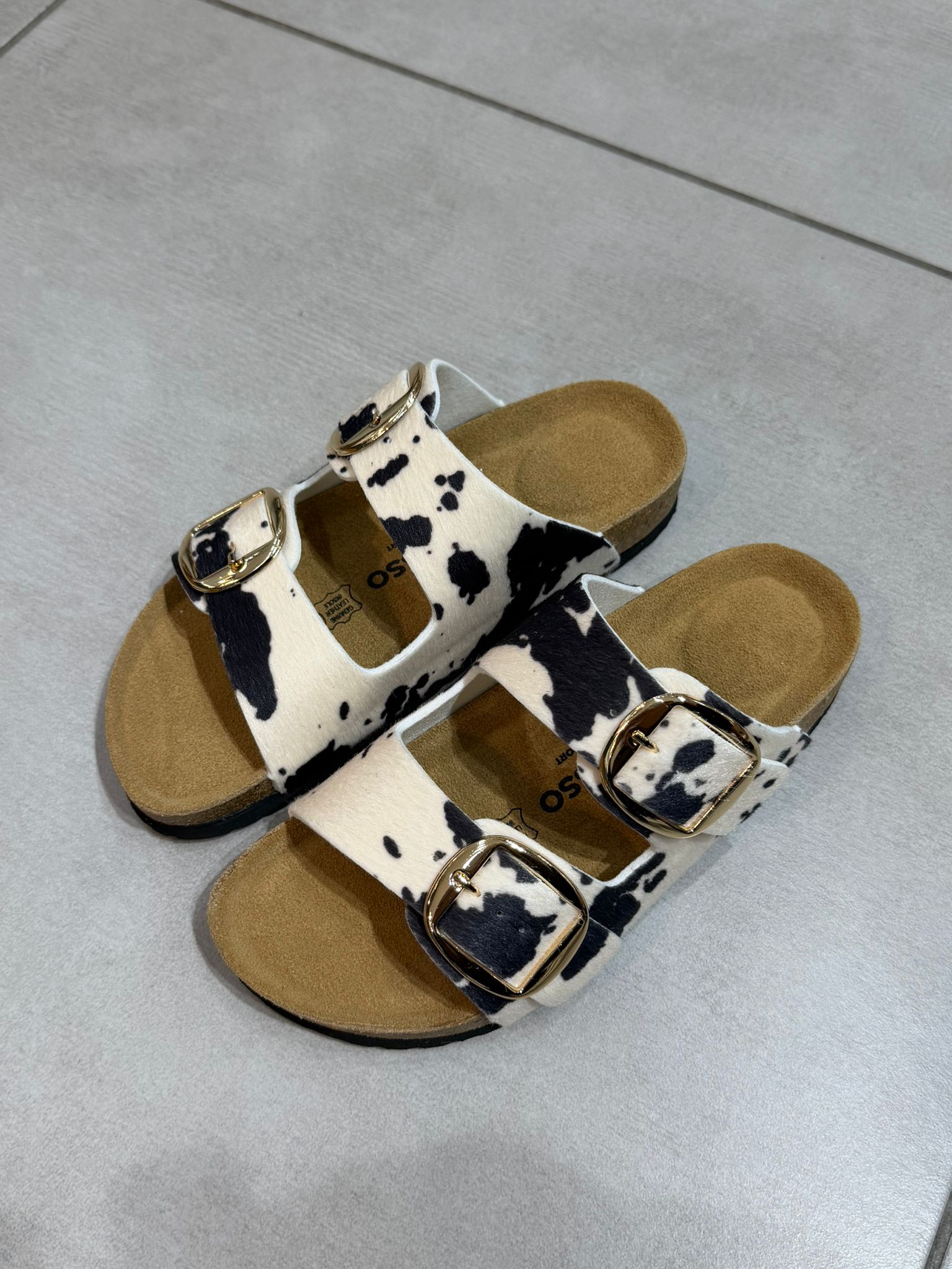 Whatsapp Image 2026 04 11 At 21.18.08 (1)