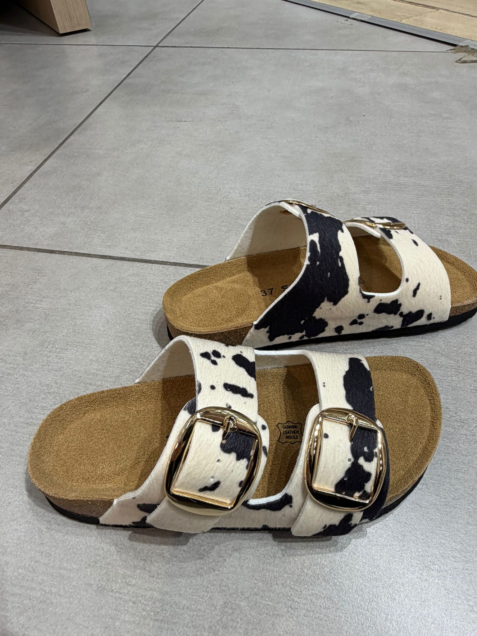 Whatsapp Image 2026 04 11 At 21.18.08