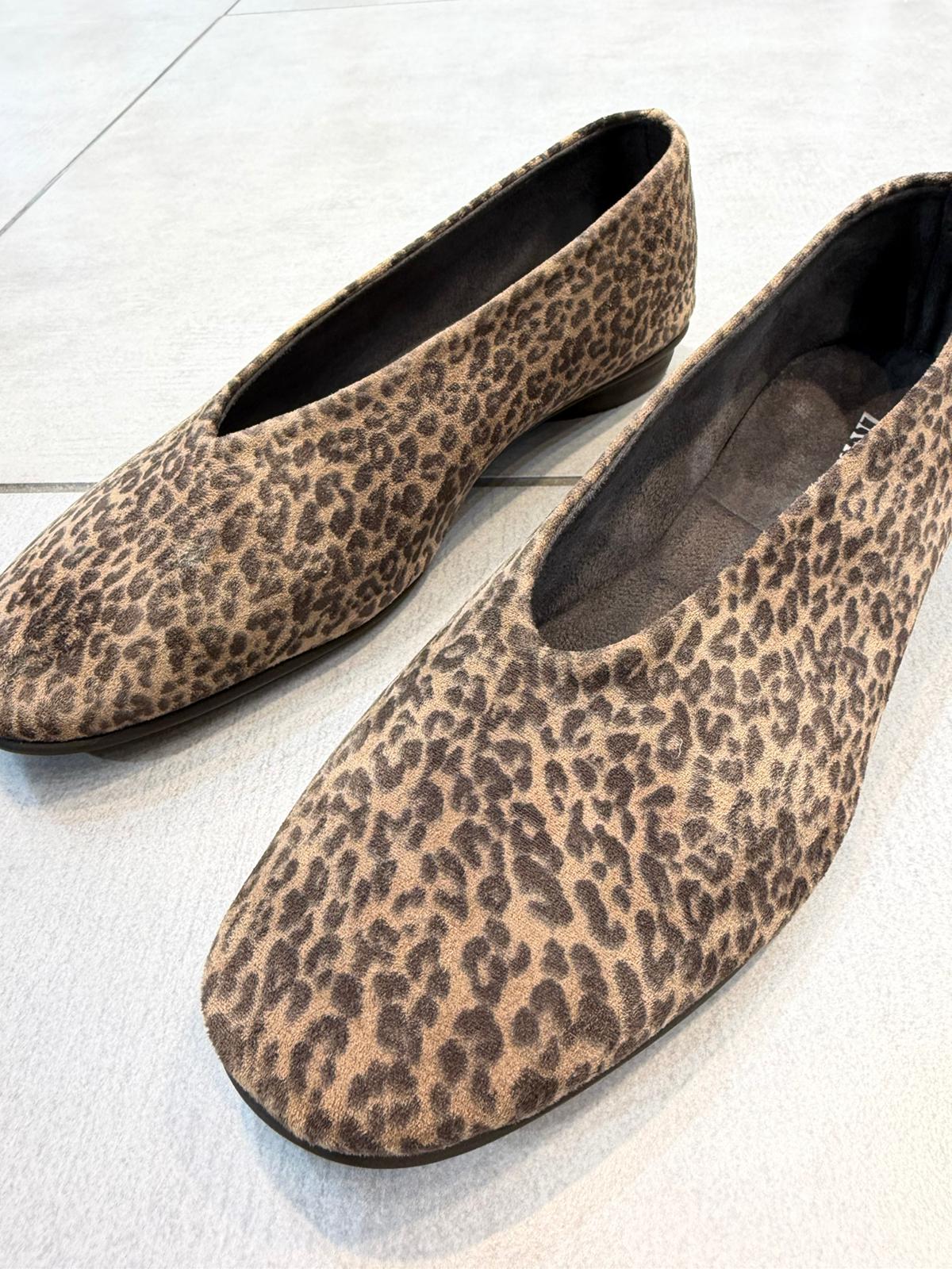 Whatsapp Image 2026 04 23 At 19.22.10