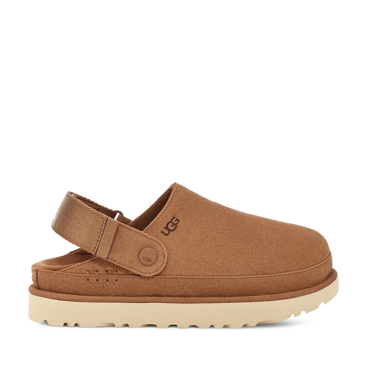 1138252che2 5000x